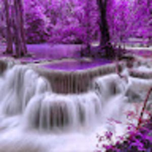 Meet your Posher, Annette